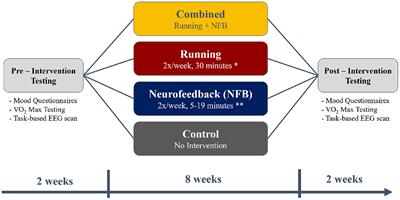 Combined Aerobic Exercise and Neurofeedback Lead to Improved Task-Relevant Intrinsic Network Synchrony